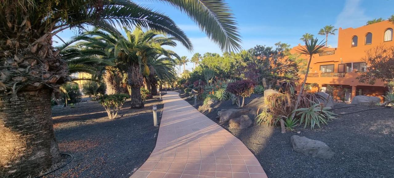 Ferienwohnung Oasis Royal 3 Piscinas Corralejo Exterior foto
